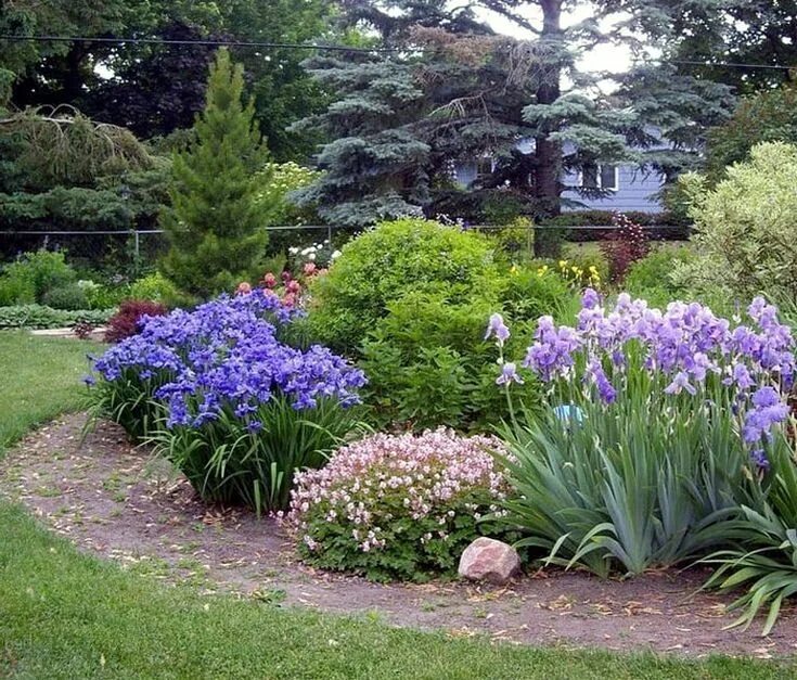 Ирисы на дачном участке Garden design plans, Beautiful gardens, Iris garden