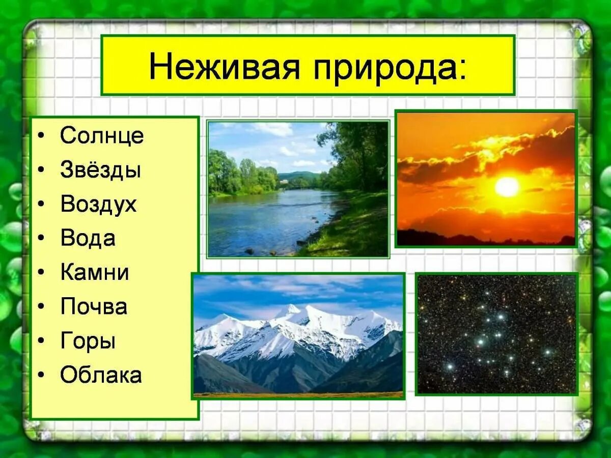 К неживой природе относят. Неживая природа. Живая и не мивая природа. Объекты неживой природы. Объекты не жвиой природы.