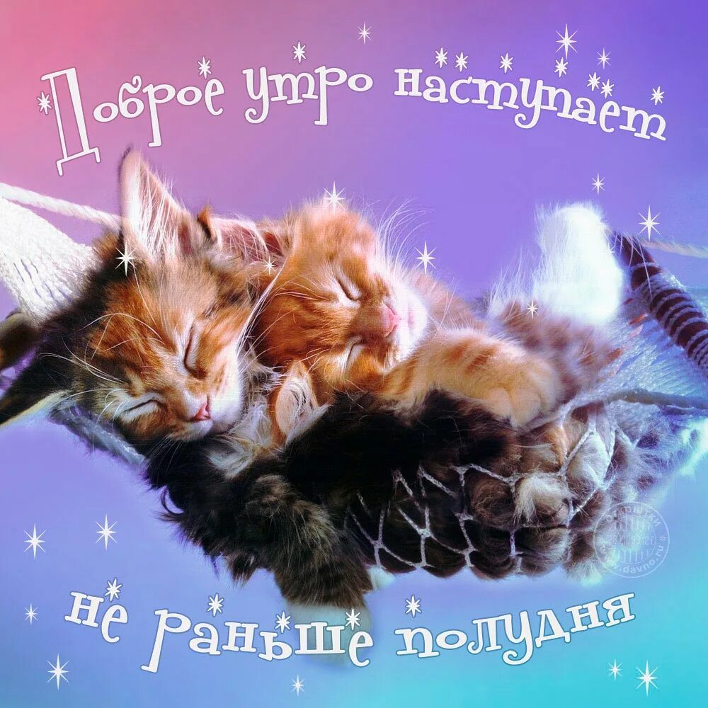 Бесплатные картинки добрые прикольные бесплатные. Открытки с добрым утром с котиками. Открытки с добрым утром прикольные. Открытки с добрым утром с котятами. Доброе утро котик.