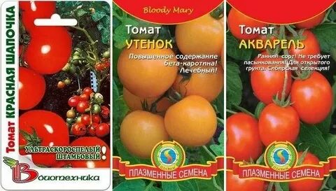Томаты низкорослые для теплицы без пасынкования