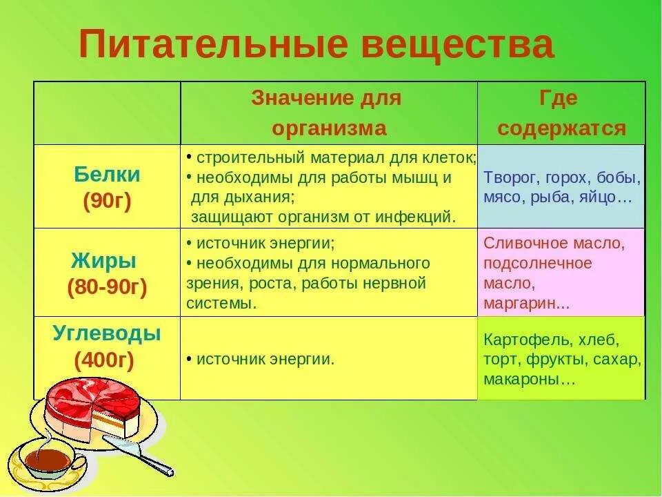 Функции питательных веществ (белки, жиры, углеводы). Питательные вещества в продуктах питания. Пища содержащая питательные вещества. Необходимые питательные вещества для организма.