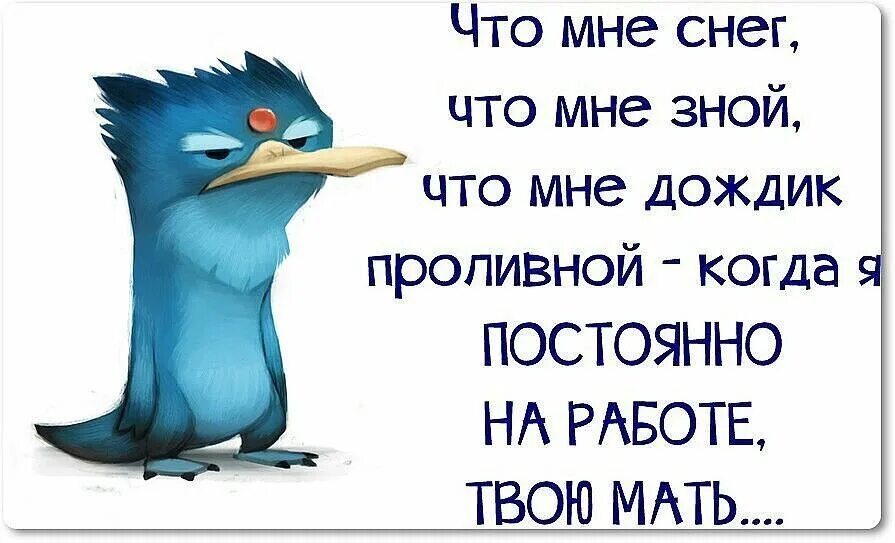 Прикольные высказывания. Смешные цитаты про погоду. Интересные статусы с юмором. Веселые фразы. Мысли о погоде и настроении