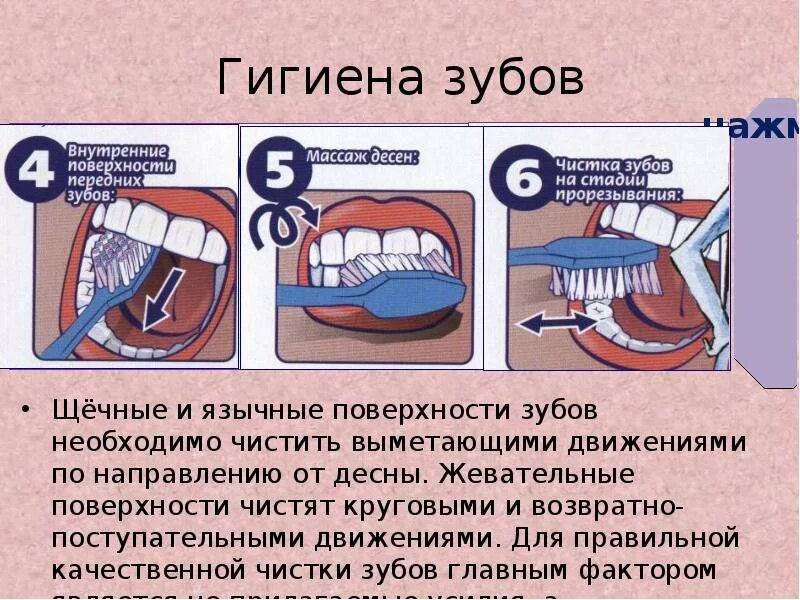Учитель биологии: Галковская И.И. 8 класс скачать презентацию