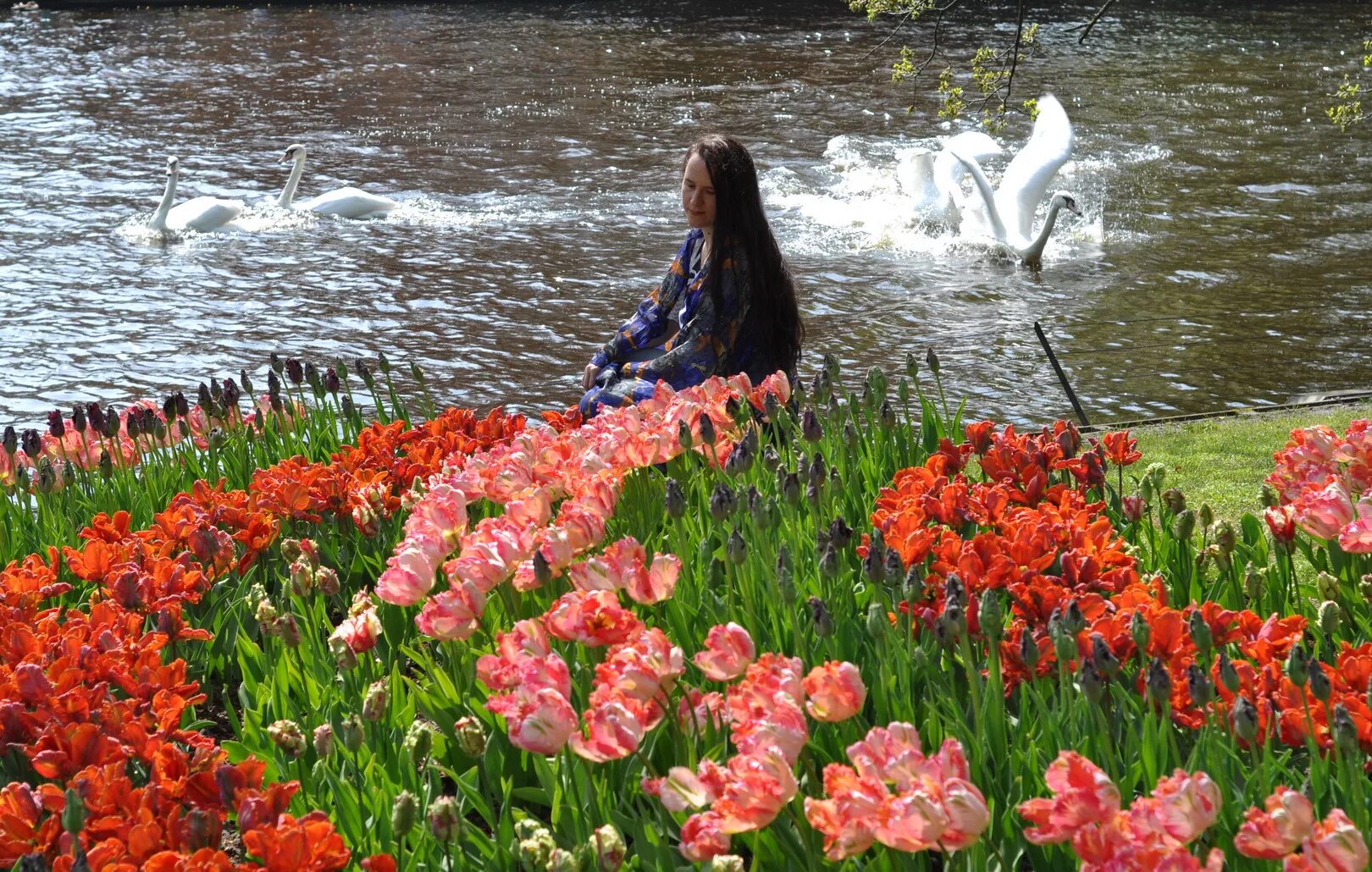 Река из цветов. Девушка река цветы. Цветы на речку праздник. Река в цвету Белгород.
