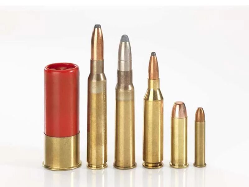 Калибры патронов для нарезного оружия таблица. 22 hornet и 22 lr. Калибры охотничьих карабинов. Калибры для охоты. Патрон 308win norma tipstrike 11г (170gr).