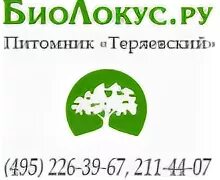 495 226. 495 226. Логотипы питомников растений. 495 226. 495 226.