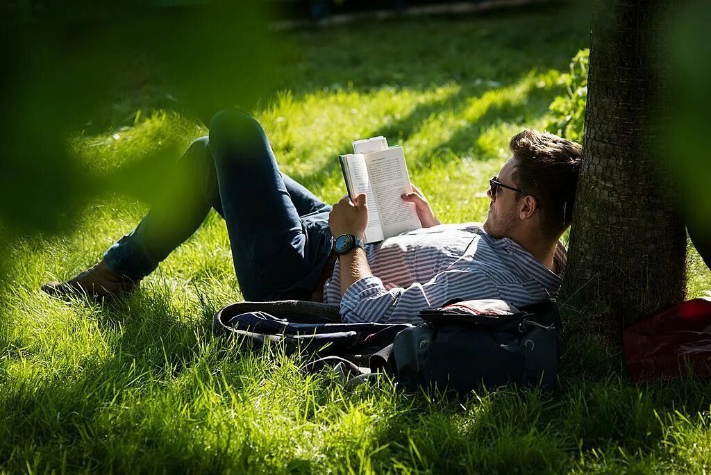 Watching books