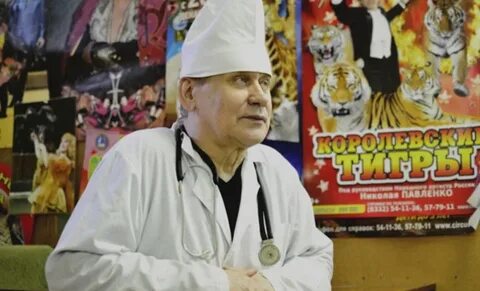 Айболит нижний новгород