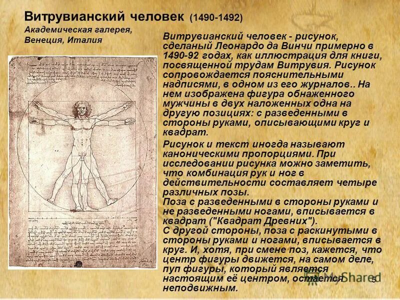 витрувианский человек смысл. человек да винчи. человек да винчи в круге. современники леонардо да винчи 1452-1519. да винчи витрувианский.