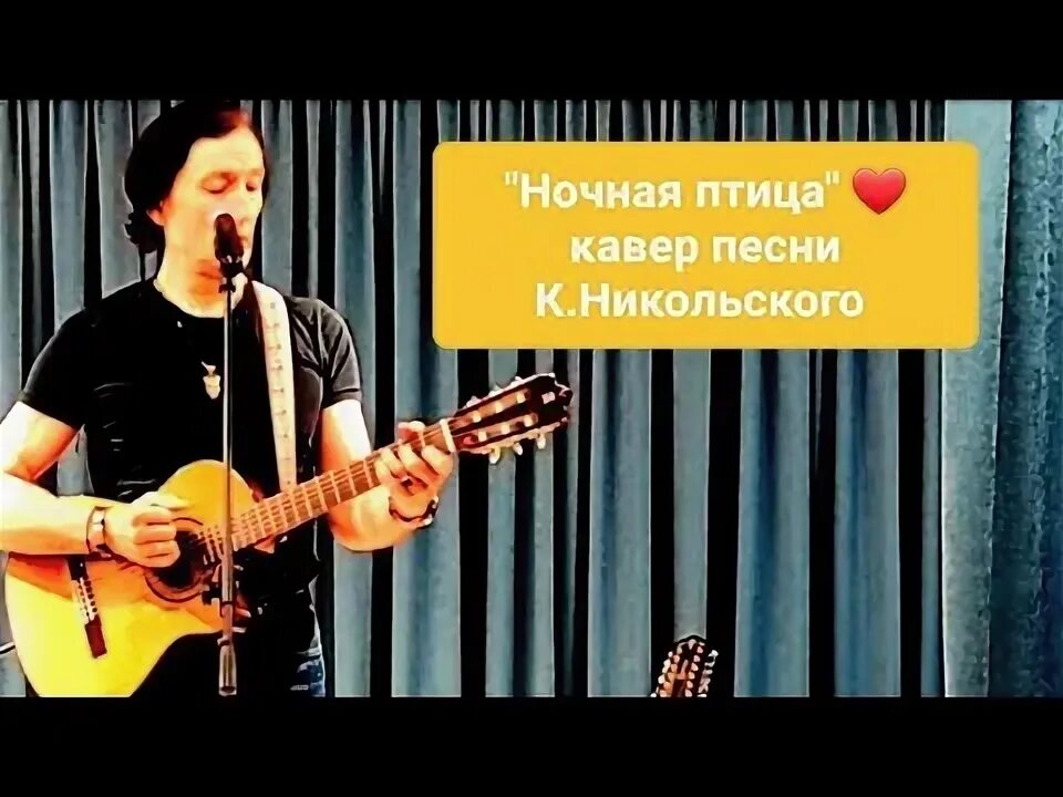 Песня никольского ночная птица. Кто поет Star Guitar.