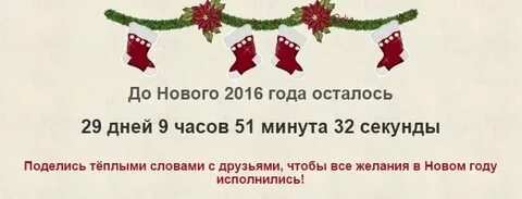 Через сколько месяцев будет новый