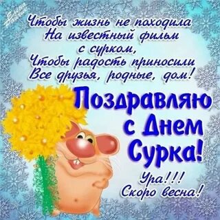 Прикольные февральские картинки