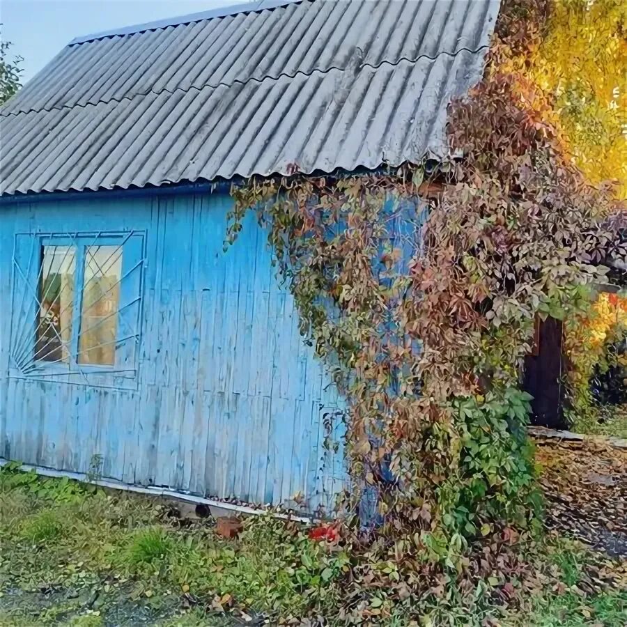 Химки снт нива дом 6. Снт нива чехов. Снт нива новосибирск. Снт нива чехов. Снт нива.