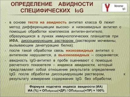 Авидность иммуноглобулина g