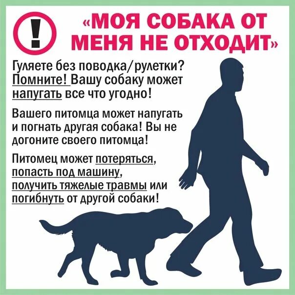 Пример отношения к животным. Ответственное отношение к животным. ответственное отношение к животному. ответственное отношение к животным памятка. закон об ответственном отношении к животным.