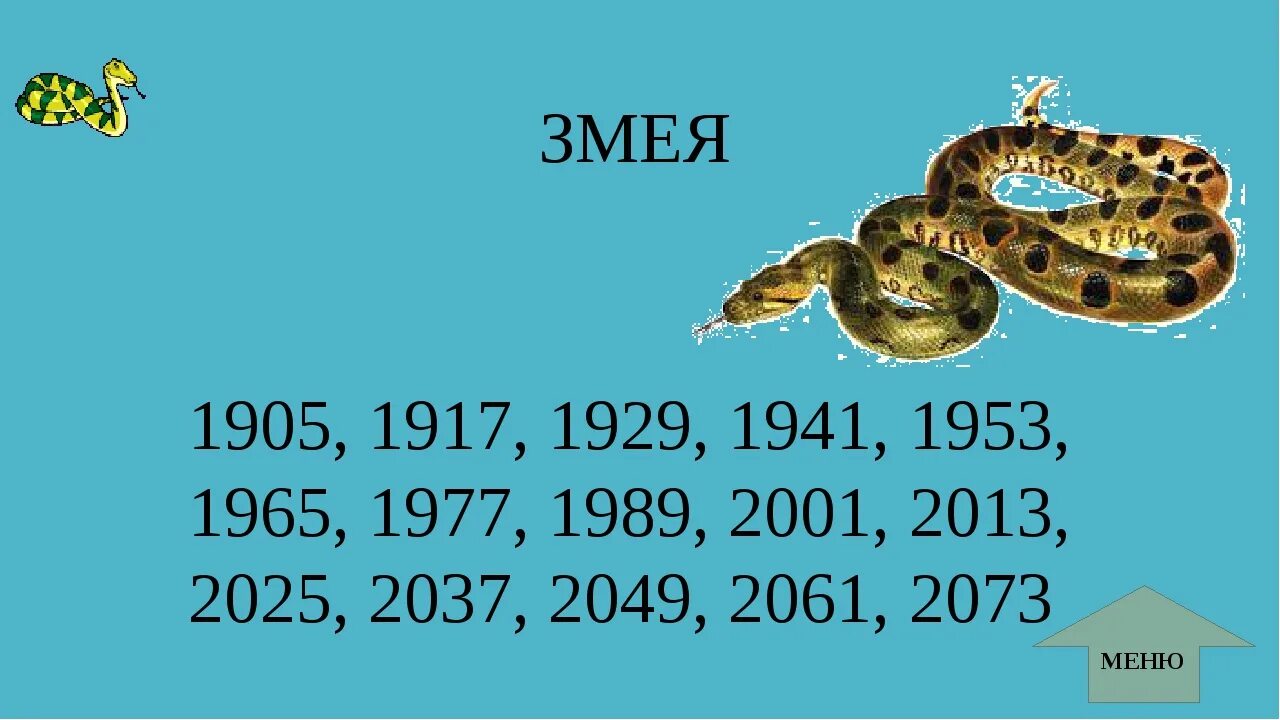 Гороскоп 2024 весы змея. Когда будет год змеи. Год змеи какие года. Змея какой год. В каком году был год змеи.