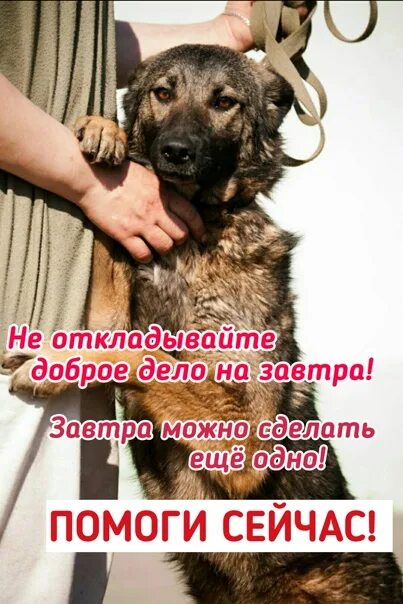 Как вам помочь сегодня