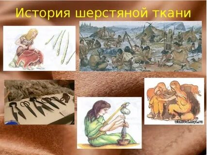 История шерсти