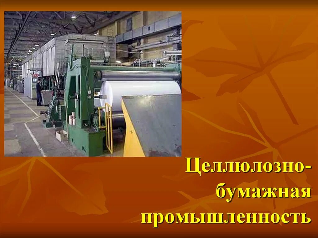 Целлюлозно-бумажная промышленность. Целлюлозно-бумажная промышленность России. Лесная промышленность целлюлозная. Лесная и целлюлозно-бумажная промышленность. Развития бумажной промышленности