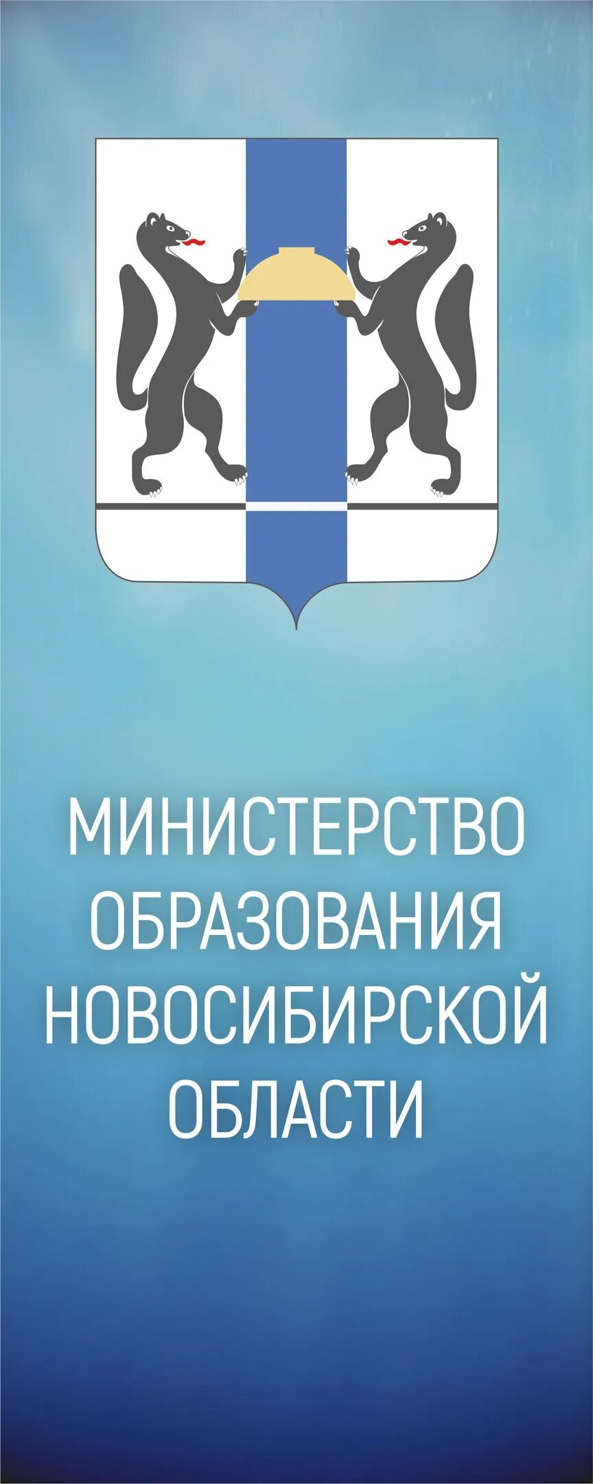 Сайт минобразования новосибирской. Логотип Министерства Новосибирской области. Департамент образования Новосибирска логотип. Министерство образования НСО логотип. Правительство Новосибирской области логотип.