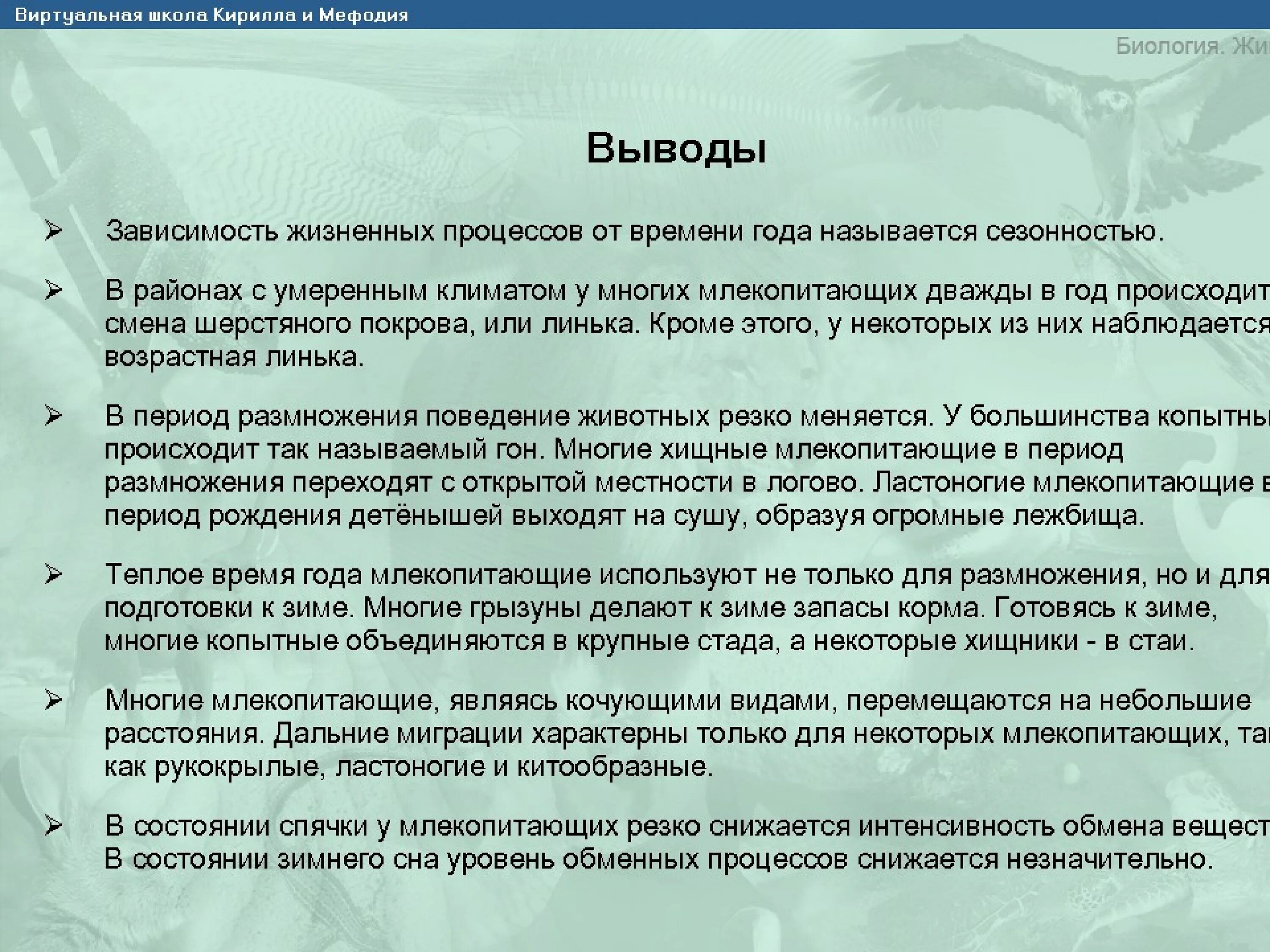 Видеоурок сезонные изменения в жизни организмов. Сезонные явления в жизни млекопитающих. Сезонные изменения в жизни животных сообщение по биологии. Сезонные изменения животных вывод. Сезонные изменения млекопитающих.