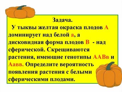 У тыквы дисковидная форма плода