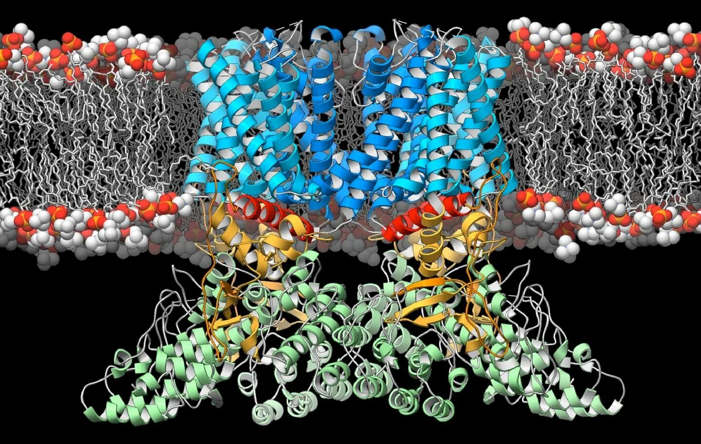 Фермент амилаза мoлекулы. Модель молекулы белка. Трехмерную структуру белков. Белковая молекула.