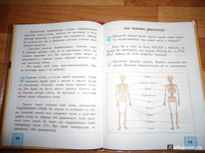 Федотова учебник 4 класс 2 часть. Окружающий мир Федотов. Окружающий мир 2 класс учебник 1 часть Федотова. Окружающий мир 4 класс учебник 2 часть Федотова. Учебник по окружающему миру 4 класс 2 часть Федотова.