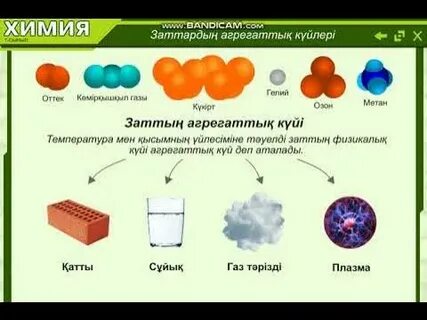 2-ші палатаның мүшесі