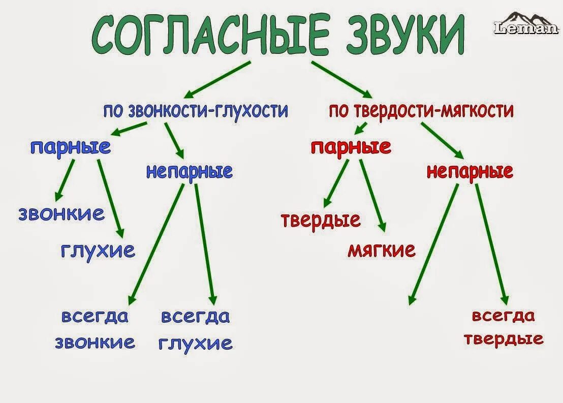 На какие две группы делятся имена. Парные и непарные согласные звуки по глухости и звонкости. Согласные по глухости звонкости и твердости мягкости. Парные согласные по звонкости и глухости и по твёрдости мягкости. Парные непарные согласные по твердости и мягкости.