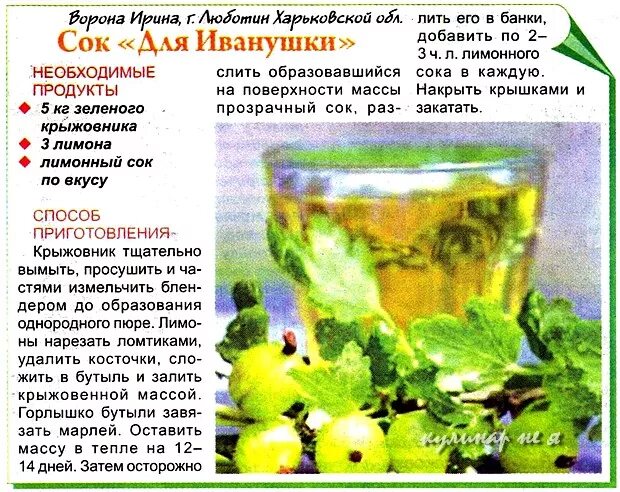 Крыжовник витамины и микроэлементы. Сок из крыжовника. крыжовник витамины. какие витамины в крыжовнике. полезные вещества в крыжовнике.