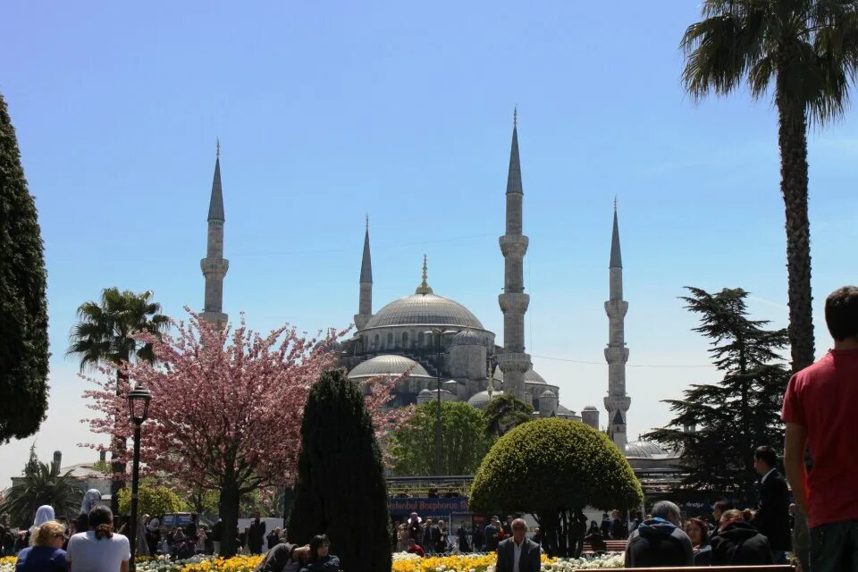 Город души Стамбул. Цветущий Стамбул. Стамбул весной
