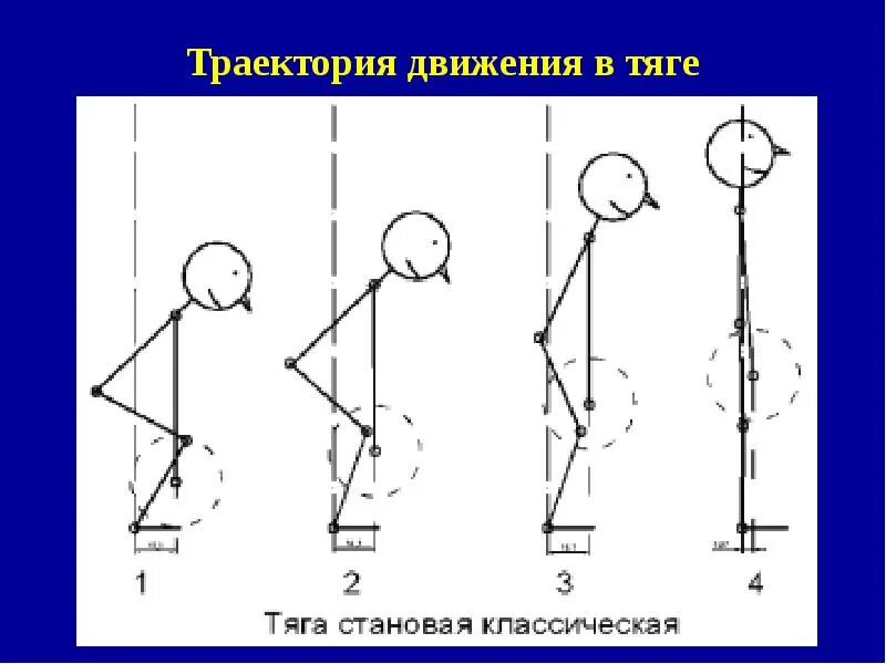 Становая тяга техника выполнения для женщин. Румынская тяга отличие от становой тяги. Румынская тяга отличие от мертвой тяги. Биомеханика румынской тяги. Румынская мертвая тяга техника.