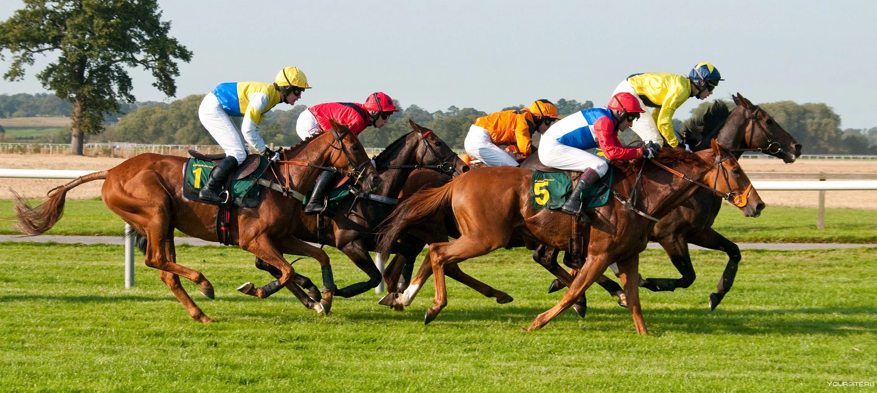 Гонка на лошадях. Скачки на лошадях ипподром. Конные скачки. Лошади на ипподроме. Скачки на лошадях жокеи.