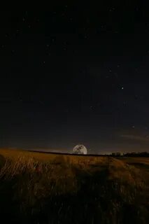 Поле в ночное время