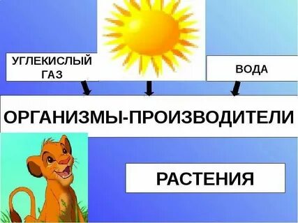 Великий круговорот жизни 3 класс