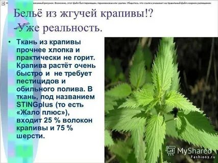 И от горькой обиды крапива средство выразительности