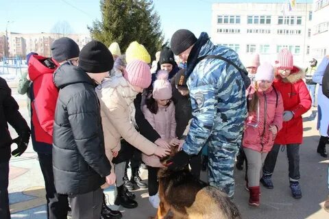 Цкр арзамас