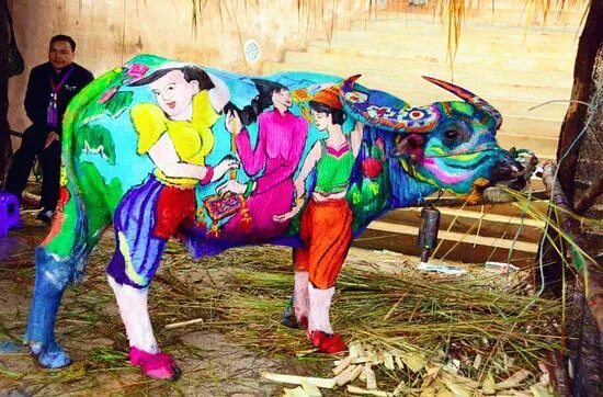 Невероятные конкурсы. Бык яркими цветами. Конкурс боди арта для коров в Китае. Бык Радужная но я взрослый.
