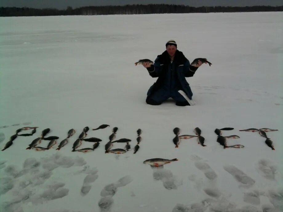 Сижу клюю