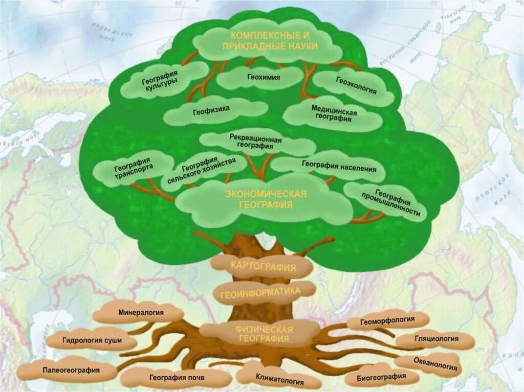 Профессии биогеограф и геоэколог 6 класс география. Дерево географических наук 5 класс. Географическое дерево. Географическое Древо. Дерево по географии.