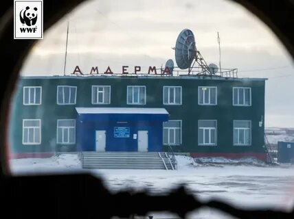 Вайгач киров