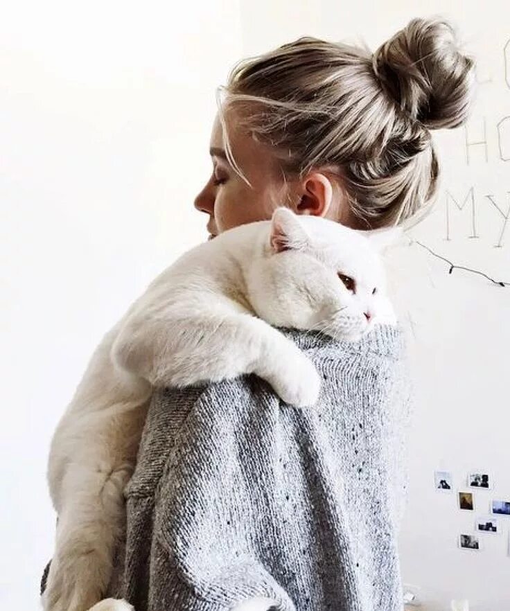 Девочка с белым котом. Девочка с белым котом