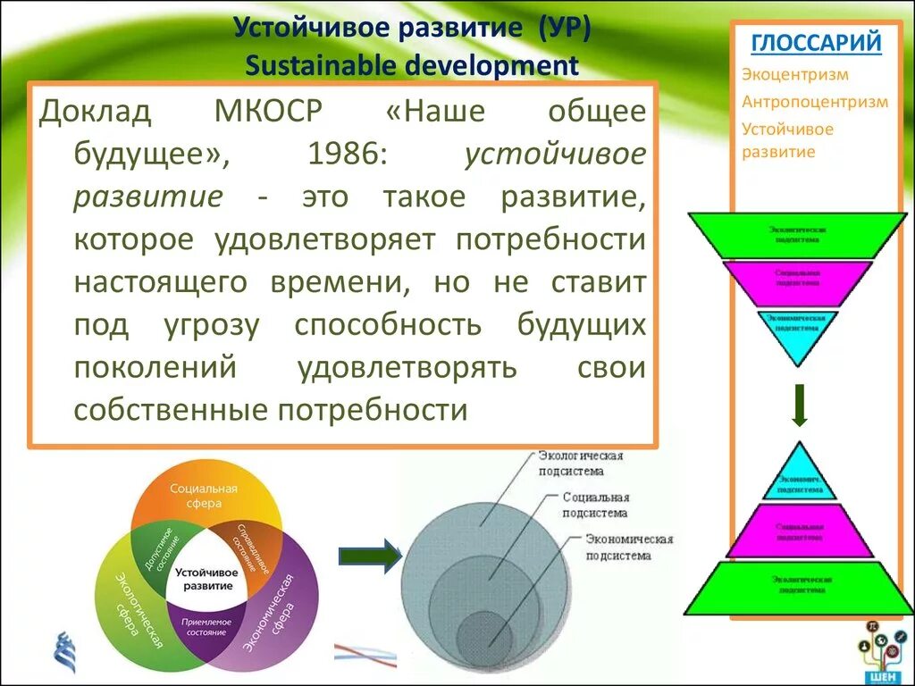 Экоцентризм. Устойчивое развитие. Наше общее будущее. Экоцентризм в экологии. МКОСР устойчивое развитие.