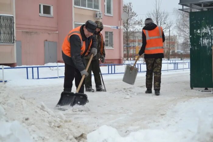 Отдел жилищно коммунального хозяйства и благоустройства. Главное контрольное управление города москвы. Мбу зеленстрой, тверь. Департамент жкх и благоустройства г москвы. Гку джкхиб вао.
