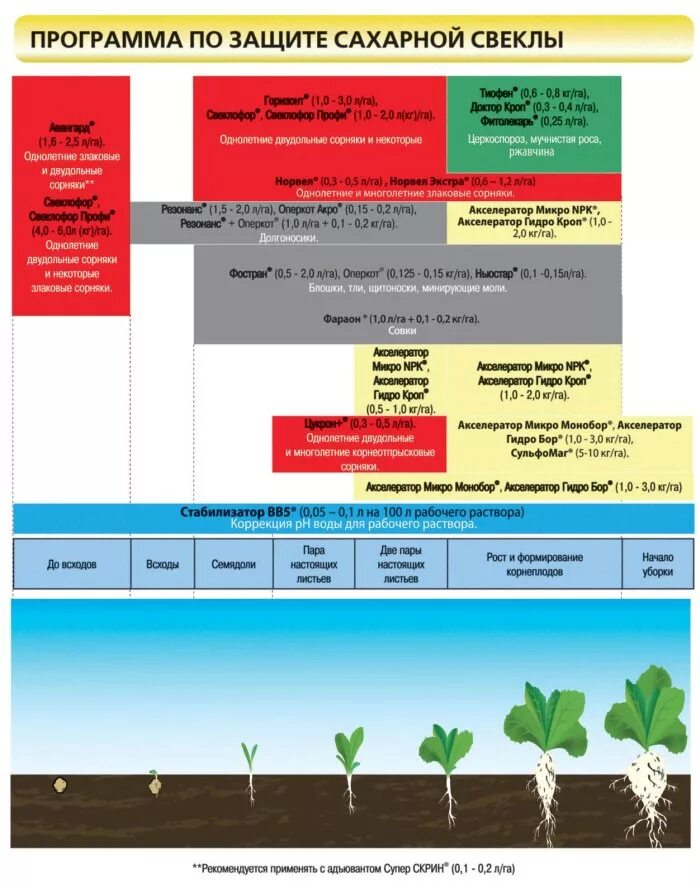 подкормка кукурузы таблица. система защиты картофеля. система защиты яблоневого сада от болезней и вредителей. программа защиты растений. интегрированная защита картофеля.
