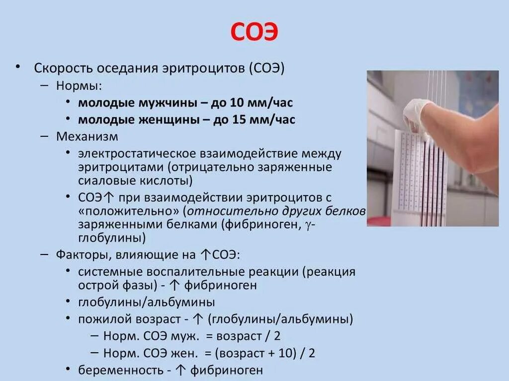 Скорость определения эритроцитов. Скорость оседания эритроцитов соэ показатели. показатели соэ в крови норма у женщин. анализ крови соэ норма у мужчин. показатели повышенной соэ в крови у женщин.