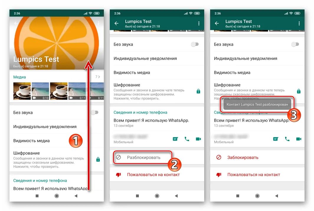 Как разблокировать в ватсапе. Как разблокировать контакт в ватсапе. Блокировка контакта в WHATSAPP. Заблокированные контакты в ватсап.