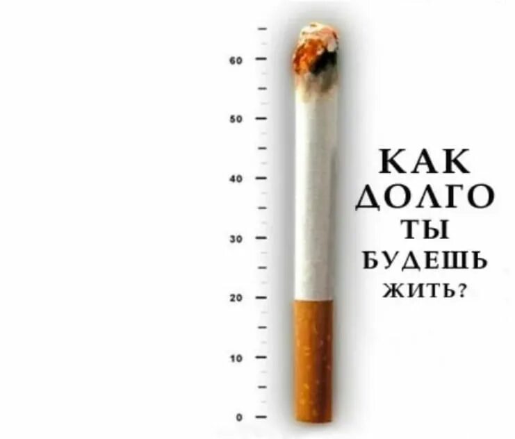 Сколько живут курящие. Как долго ты будешь жить сигареты.