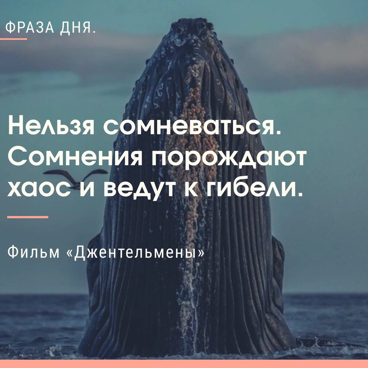 Джентльмены сомнение. Джентльмены сомнения порождают. Нельзя сомневаться порождают хаос. Сомнения порождают хаос и ведут к гибели. Джентльмены сомнения порождают.